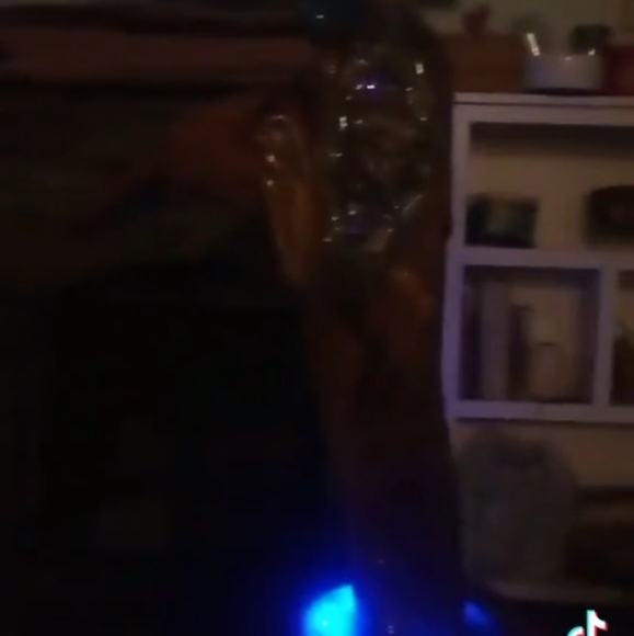 Meet your Posher, Tammy - Picture 3 of 7